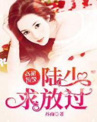 言情陆少宠妻太甜蜜