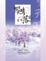 那日天晴有落花实体书