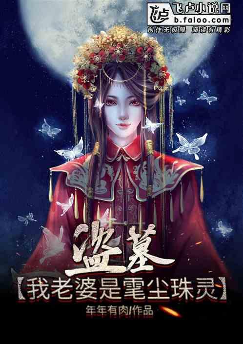 盗墓我的老婆是雮尘珠灵免费
