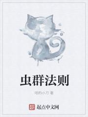 虫群法则TXT