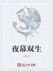 镜面双生亡灵夜幕