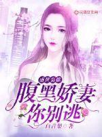 盛世婚宠腹黑老公撩妻上瘾