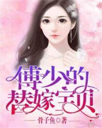 傅少的替嫁宝贝免费
