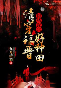清穿福晋甜文