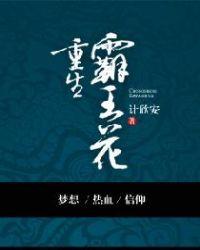 重生之霸王宠妃