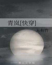 青岚快穿笔趣