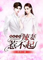 独家辣妻全文阅读免费阅读全文