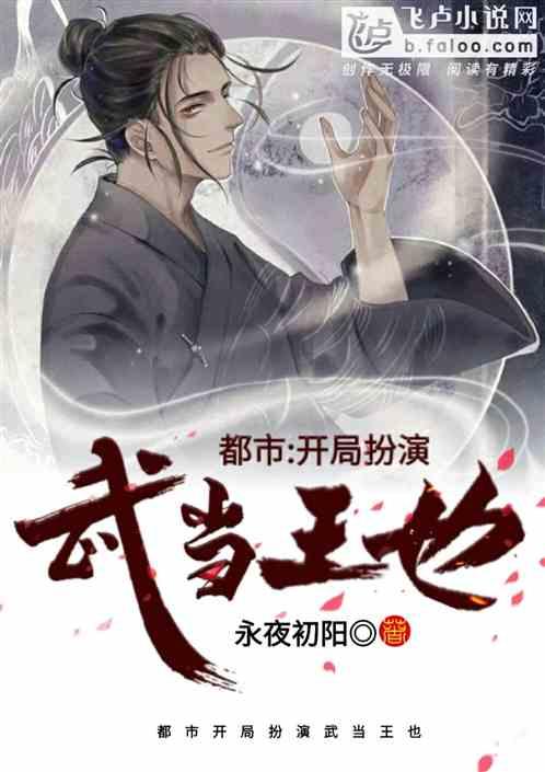 都市开局扮演武当王也!作者 永夜初阳