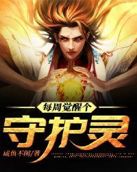 每周觉醒个守护灵epub