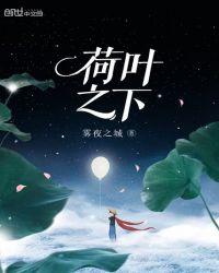 荷叶之下藏佳人