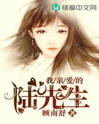 我亲爱的陆先生里顾小姐