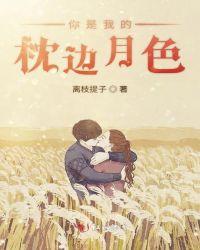 歌词你是我的枕边人