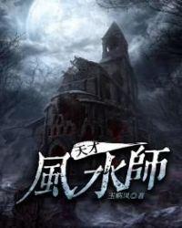天才风水师电视剧免费观看