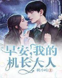 机长先生作者瑢琭