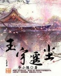 主人公是玉瑶的