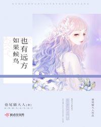 候鸟会不会停留歌词是什么意思