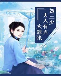 夫人有点太嚣张免费阅读