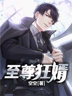 至尊狂婿萧北辰最后结局