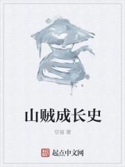 山贼的崛起