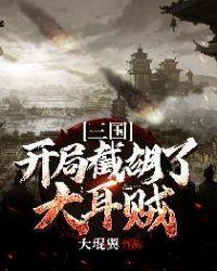 三国开局截胡了大耳贼 大琨翼