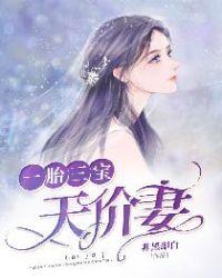 一胎三宝天价妻免费阅读阅读