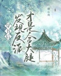 穿书后遇到反派大佬