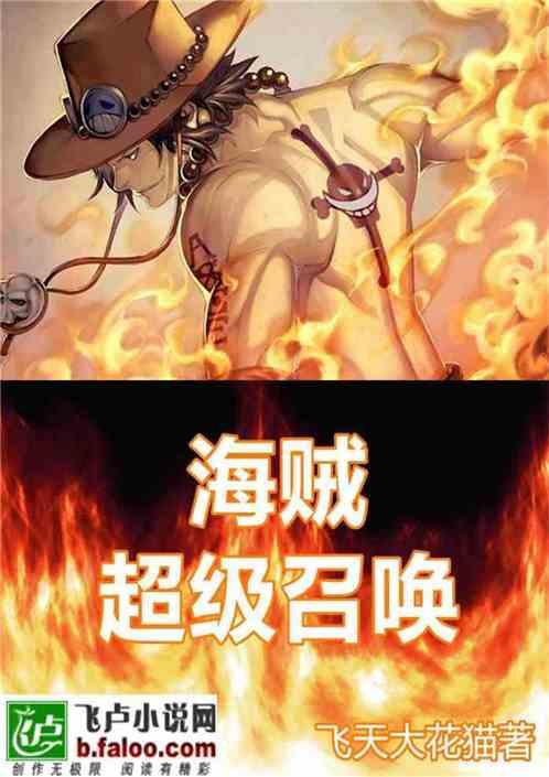 海贼超级召唤完结