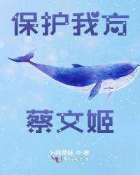 澜保护蔡文姬的动画