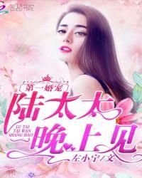 第一婚宠傅太太她貌美无花
