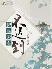 护君妻主