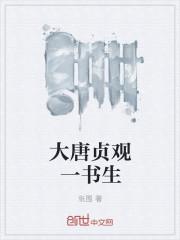 大唐贞观一书生几个女主