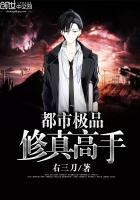 都市极品修真高手书旗