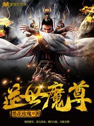 逆世魔尊沐羽衫未删减