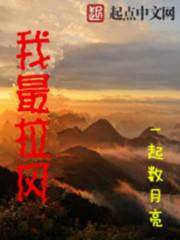 给我拉风