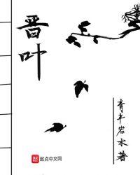 晋叶晋丰店装修多少钱
