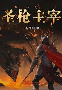 圣枪是什么宝具