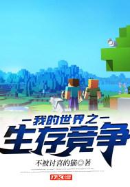 我的世界之生存模式