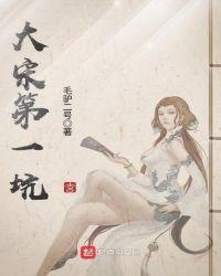 大宋第一坑txt