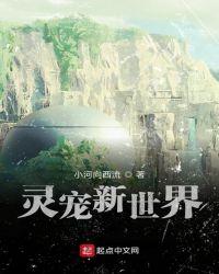 灵宠新大陆攻略最好玩职业