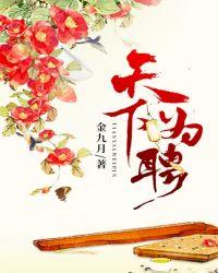 天下为聘免费完整版