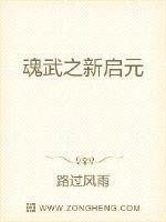 魂武攻略