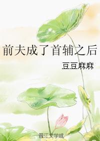 前夫成了首辅之后免费阅读
