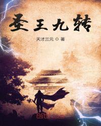 圣王九转动漫