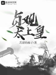 贞观太上皇TXT