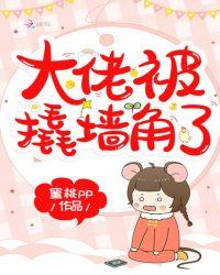 大佬被拆马甲的现代文