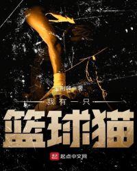 我有一个篮球的英文怎么写