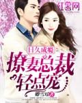 宠妻入怀恶魔老公惹不得