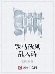 铁马秋风大散关读音