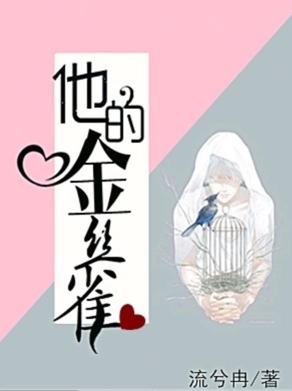 他的金丝雀全集观看