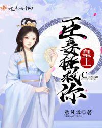 皇上臣妾来侍寝了
